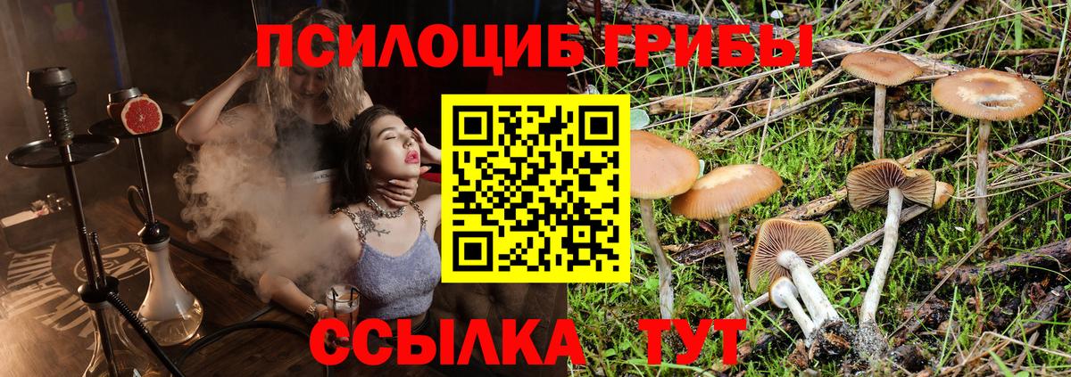 Галлюциногенные грибы Cubensis Кохма