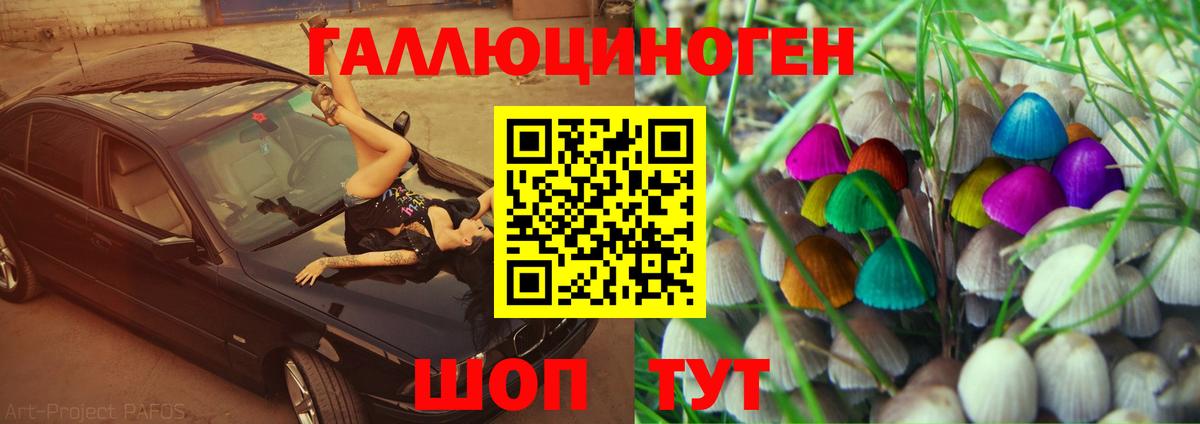 Кохма  Псилоцибиновые грибы Psilocybe  Вход с VPN 